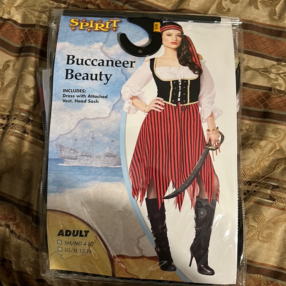 Buccaneer Beauty Costume